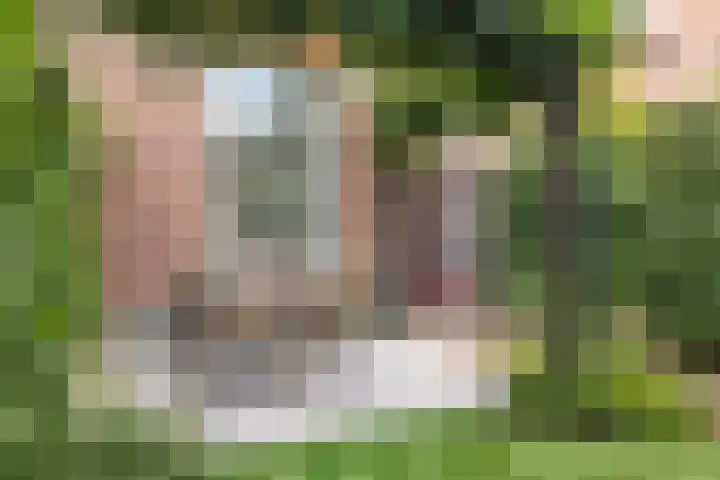 Graaf Willemlaan 134 Amersfoort thumbnail 17