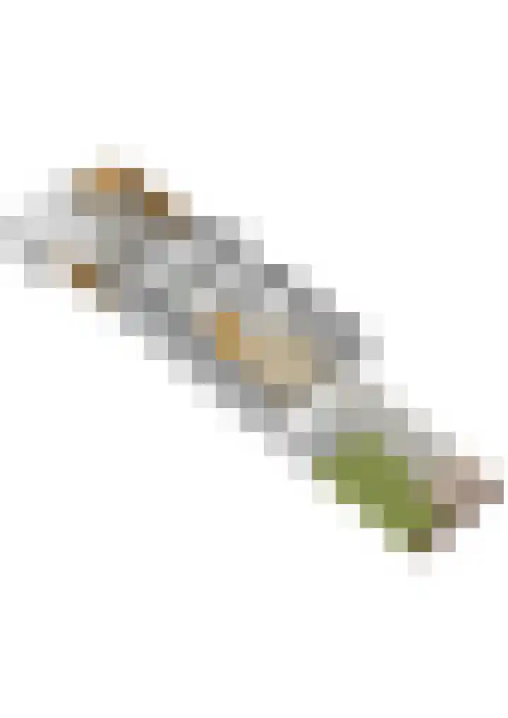 Graaf Willemlaan 134 Amersfoort thumbnail 32