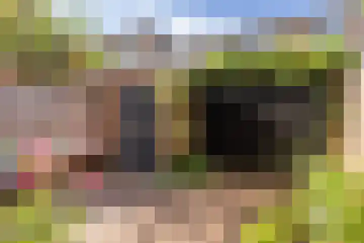 Graaf Willemlaan 134 Amersfoort thumbnail 4