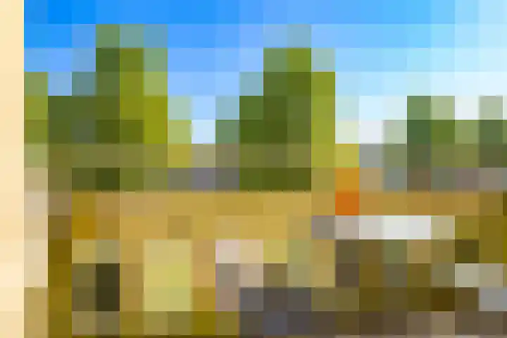 Graaf Willemlaan 156 Amersfoort thumbnail 20