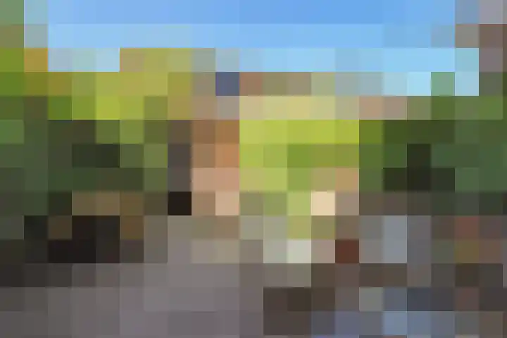 Graaf Willemlaan 156 Amersfoort thumbnail 37