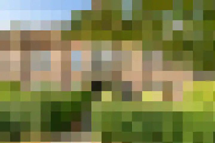 Graaf Willemlaan 156 Amersfoort thumbnail 39