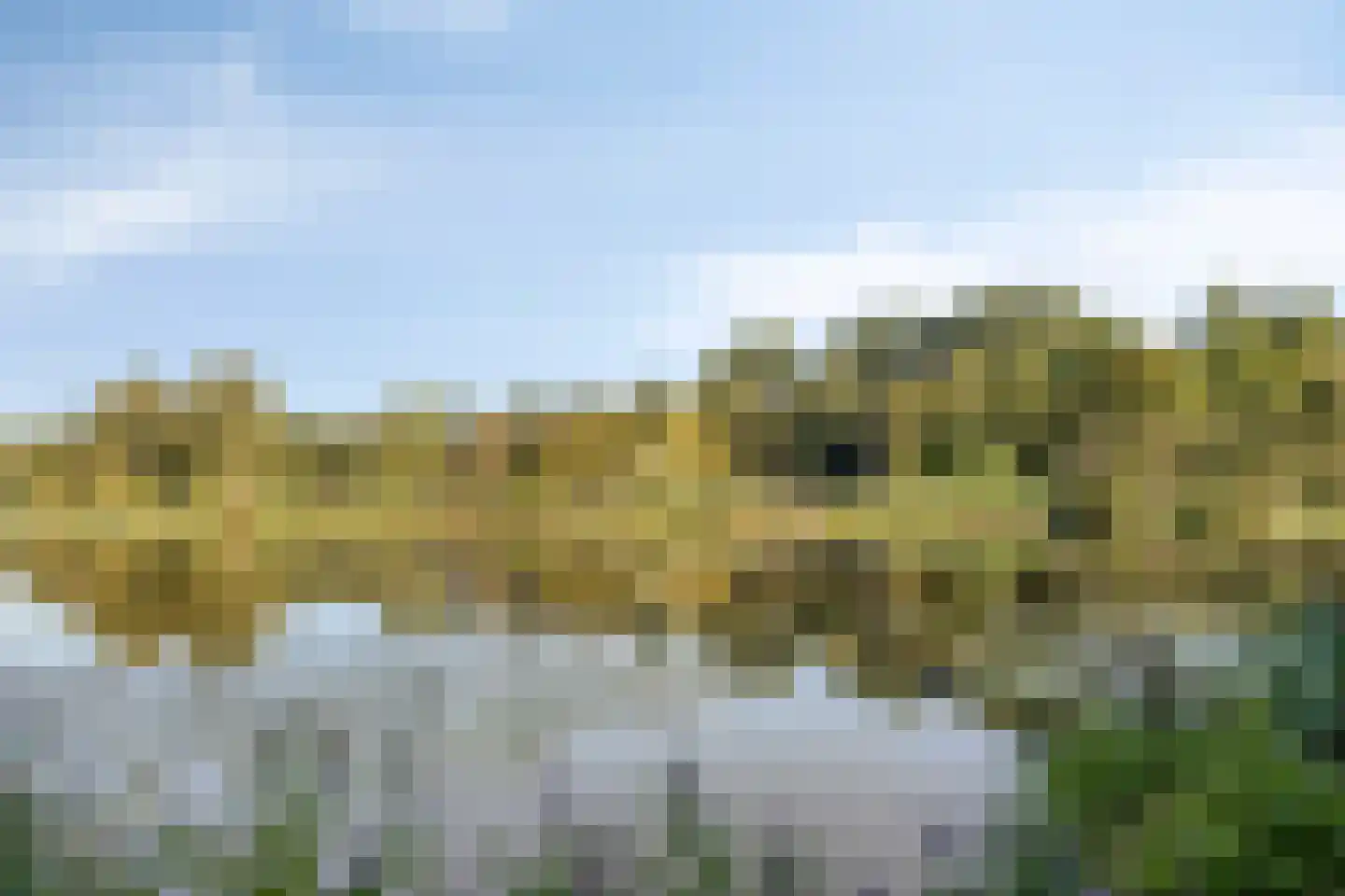 Graaf Willemlaan 157 Monnickendam thumbnail 51