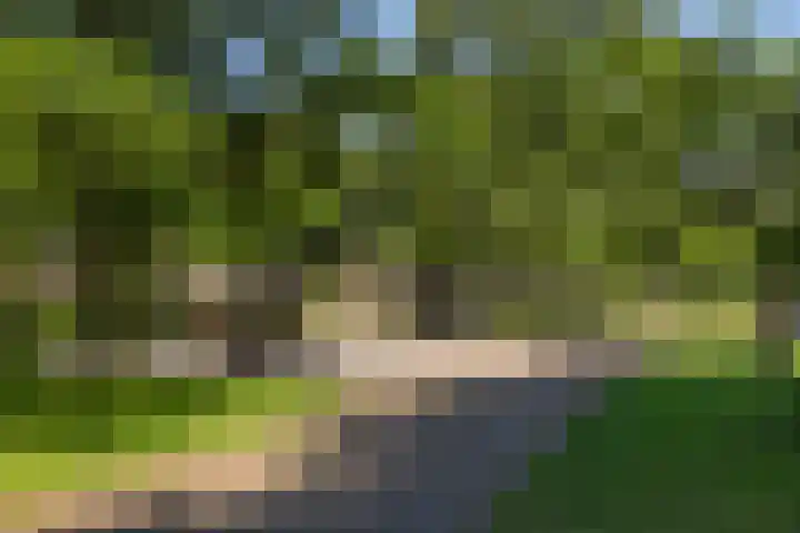 Graaf Willemlaan 164 Amersfoort thumbnail 37
