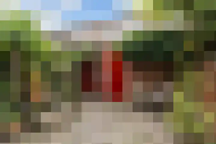 Graaf Willemlaan 164 Amersfoort thumbnail 7