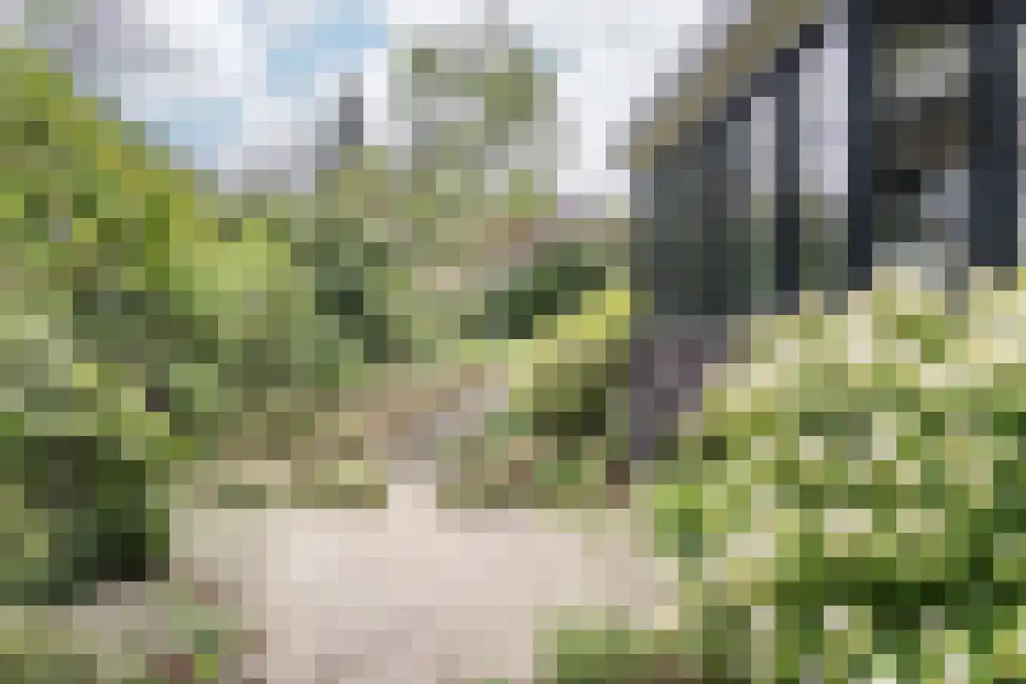 Graaf Willemlaan 2 a Vogelenzang thumbnail 19
