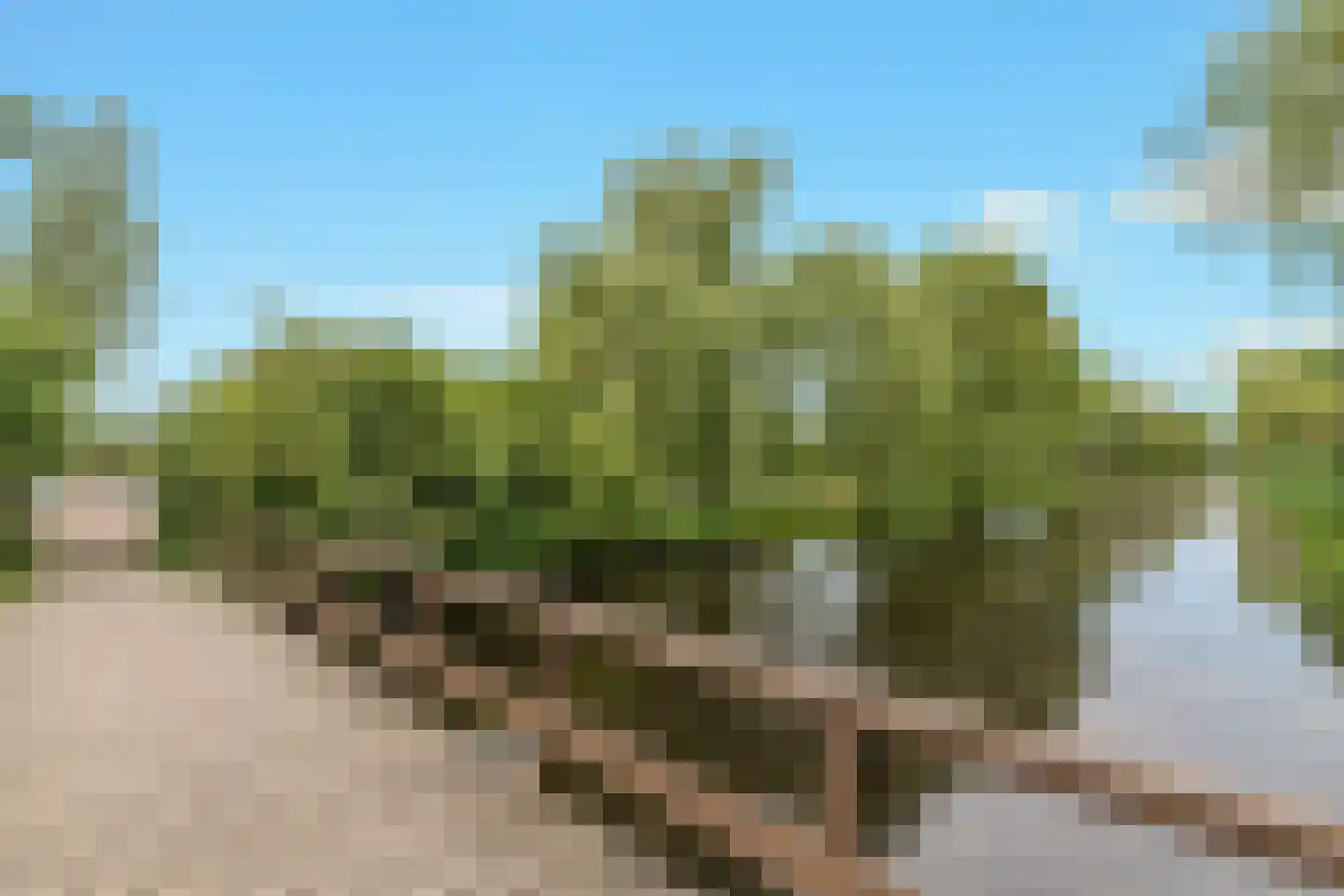 Graaf Willemlaan 26 Amstelveen thumbnail 32