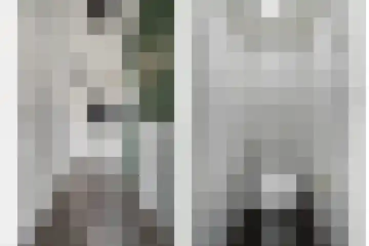 Graaf Willemlaan 32 Hendrik-Ido-Ambacht thumbnail 7