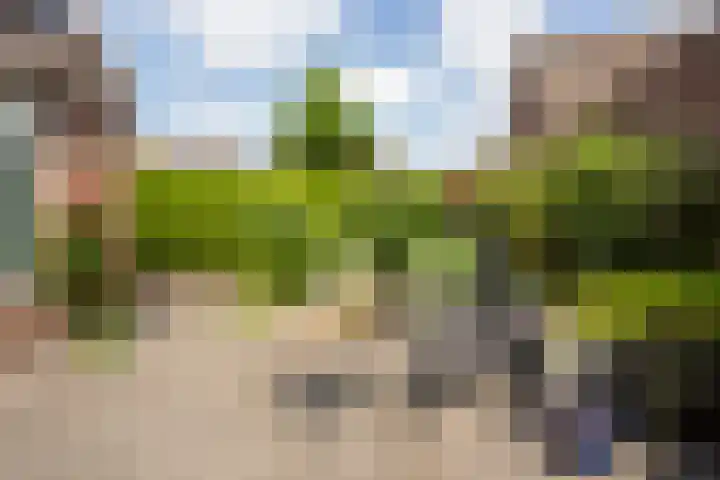 Graaf Willemlaan 37 Nieuwegein thumbnail 21