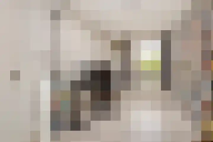 Graaf Willemlaan 37 Nieuwegein thumbnail 38
