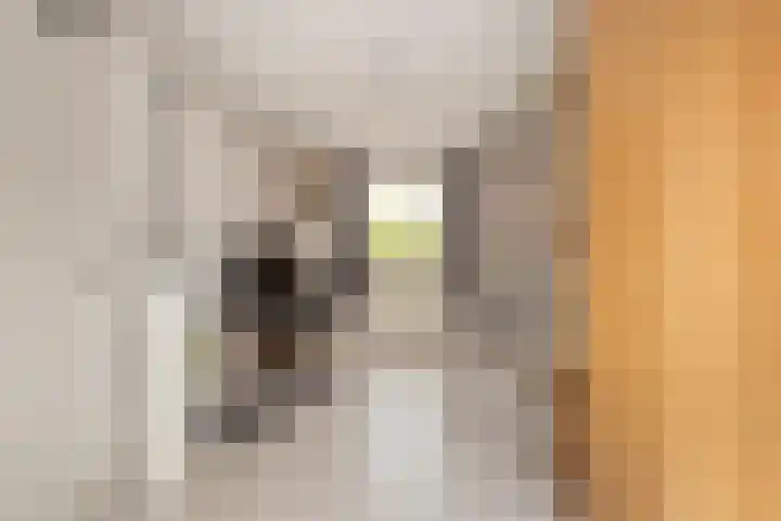 Graaf Willemlaan 37 Nieuwegein thumbnail 39