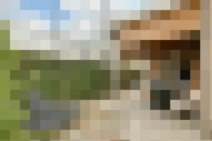 Graaf Willemlaan 42 Amstelveen thumbnail 33