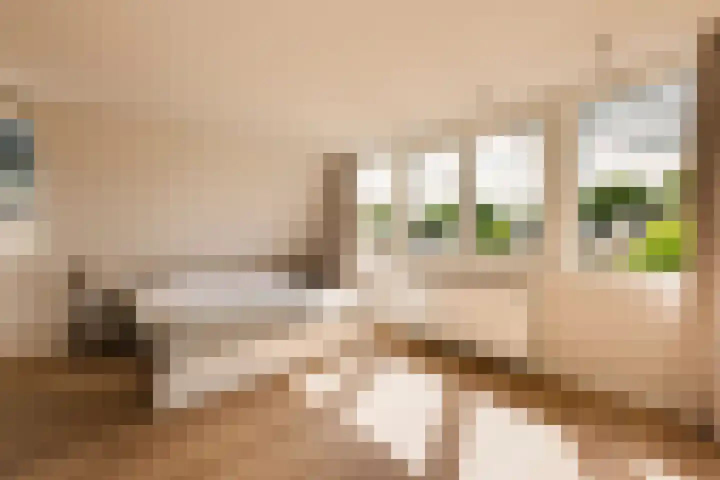 Graaf Willemlaan 52 Amstelveen thumbnail 43