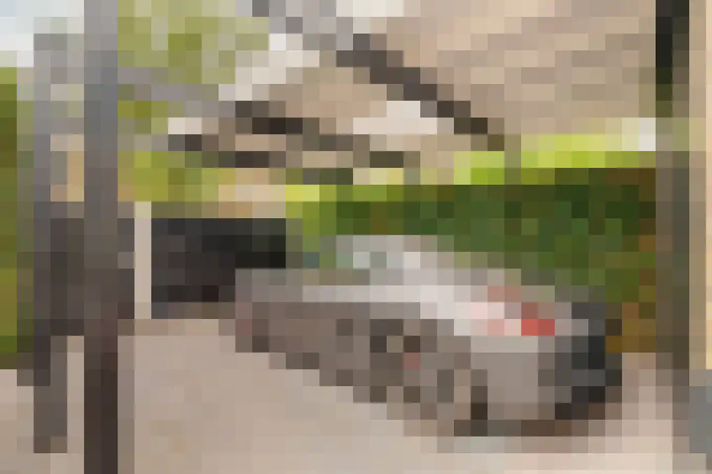 Graaf Willemlaan 55 Amstelveen thumbnail 16