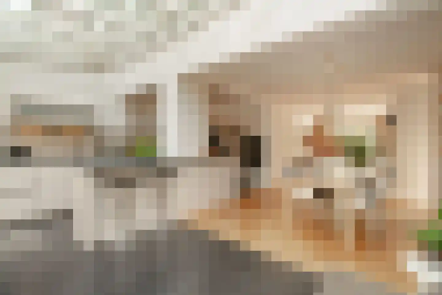 Graaf Willemlaan 55 Amstelveen thumbnail 9