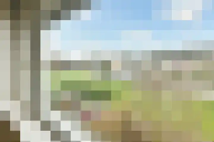 Graaf Willemlaan 83 Monnickendam thumbnail 14