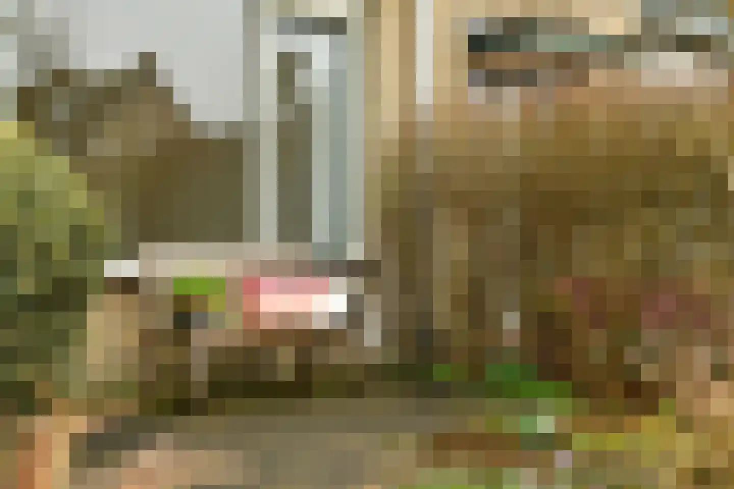 Graaf Willemlaan 83 Monnickendam thumbnail 5