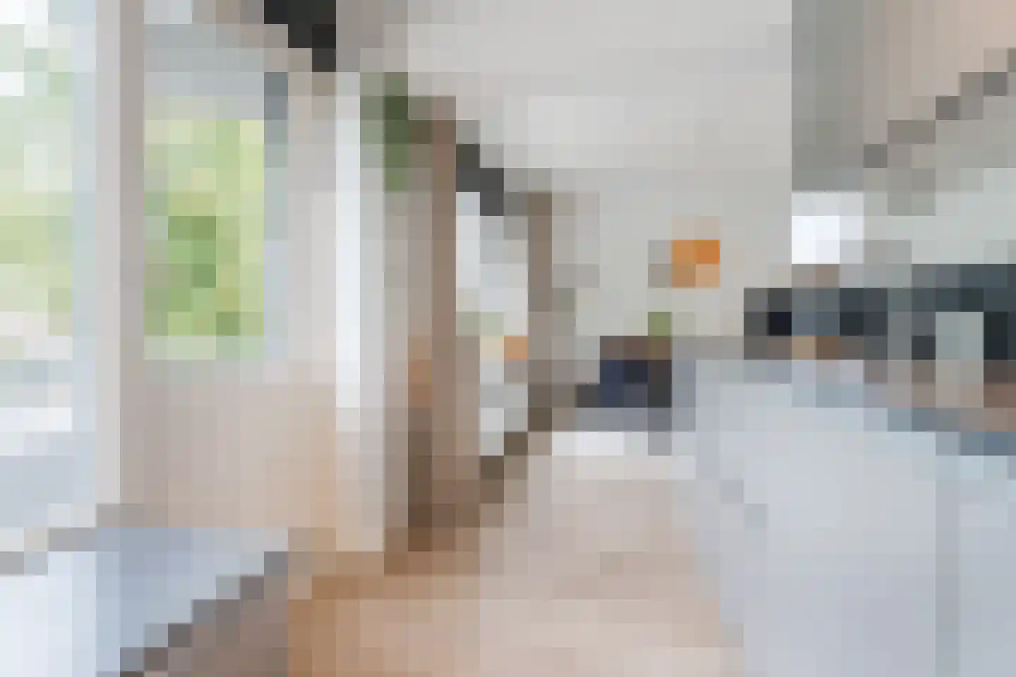 Graaf Willemlaan 98 Hendrik-Ido-Ambacht thumbnail 37
