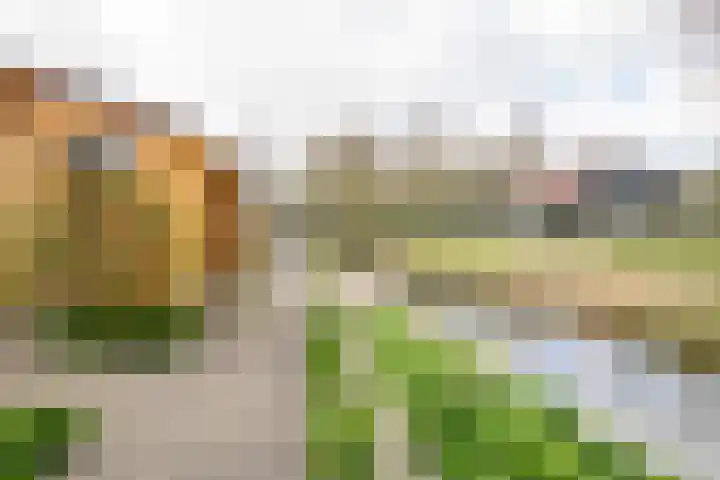 Graaf Willemstraat 15 Hoogwoud thumbnail 44