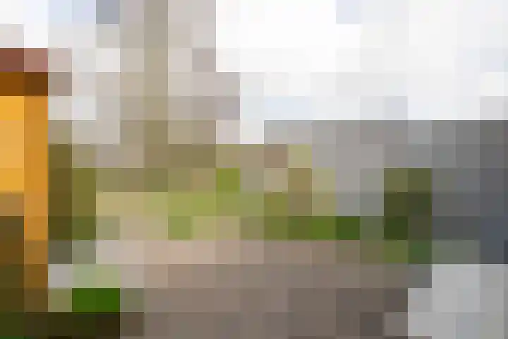Graaf Willemstraat 15 Hoogwoud thumbnail 45