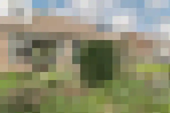 Graaf Willemstraat 15 Hoogwoud thumbnail 52