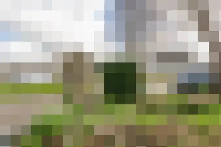 Graaf Willemstraat 15 Hoogwoud thumbnail 53