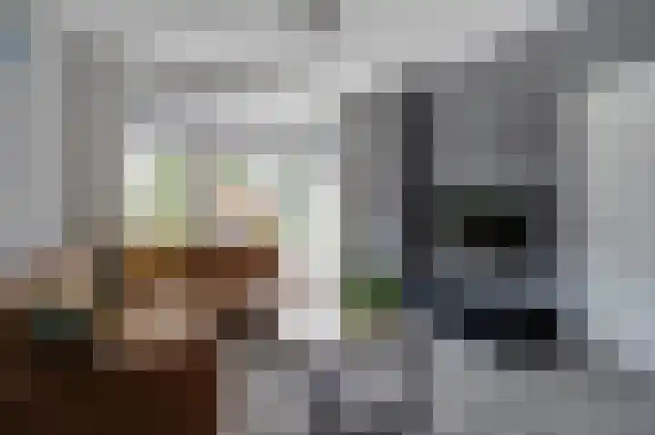 Graaf Willemstraat 66 Bovenkarspel thumbnail 6