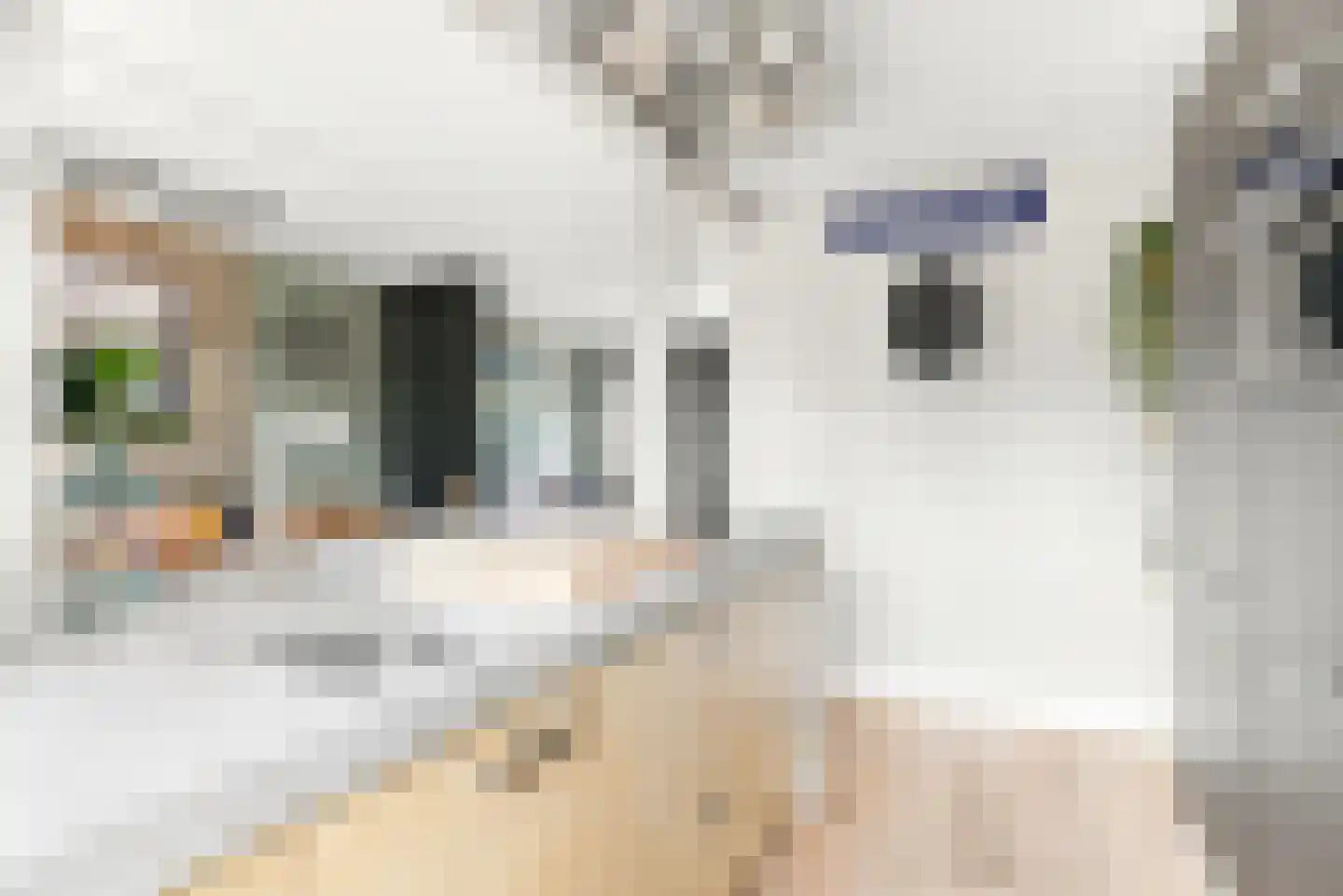 Graaf Willemstraat 78 Bovenkarspel thumbnail 12