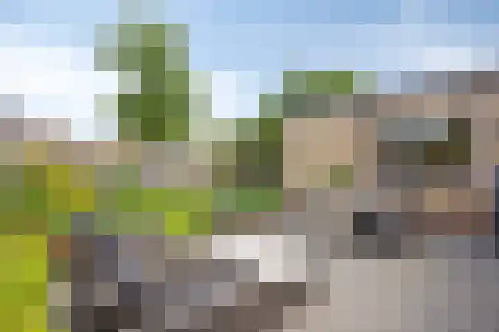 Graaf Willemstraat 86 Bovenkarspel thumbnail 38