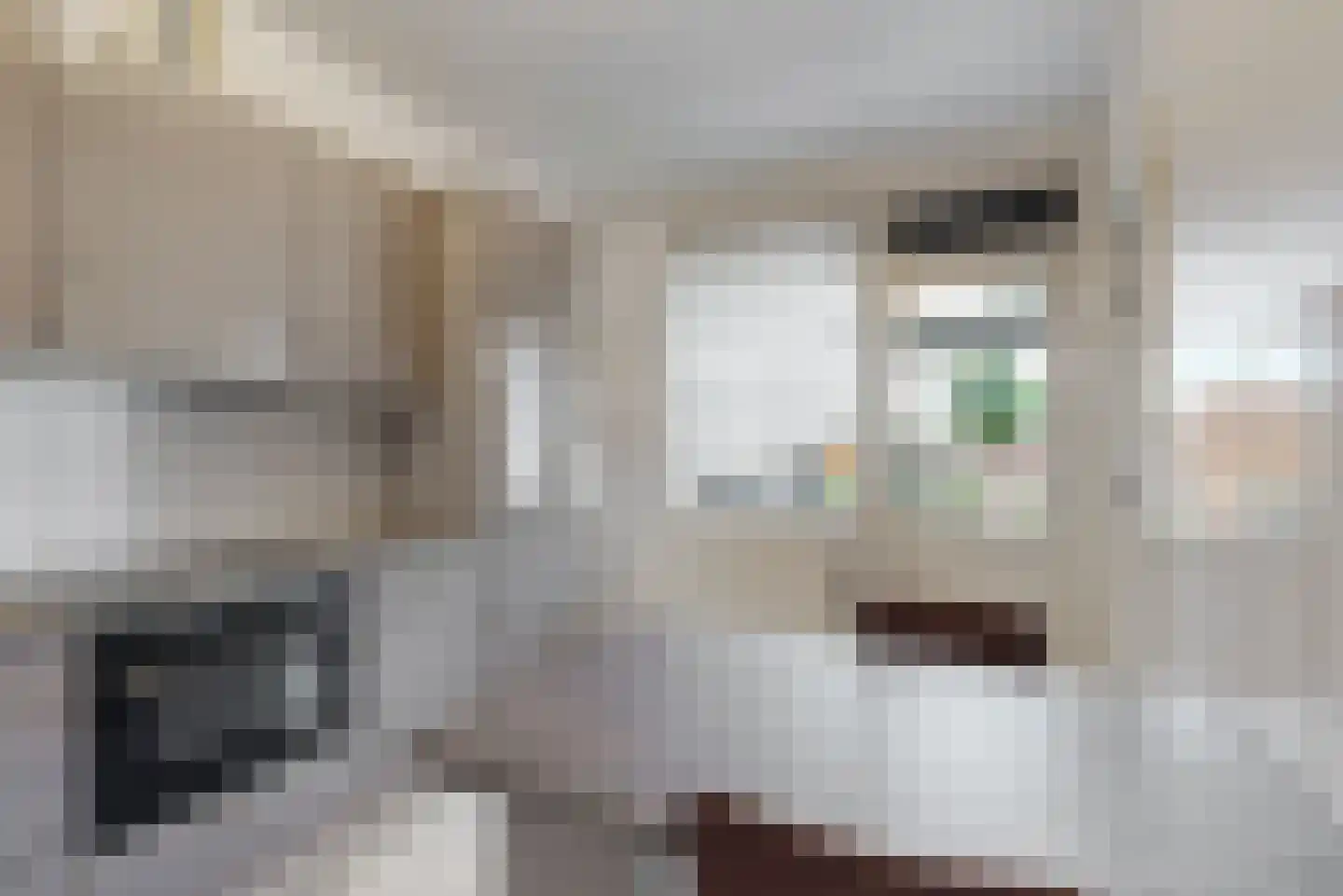 Graaf Wolff Metternichlaan 32 Swalmen thumbnail 23