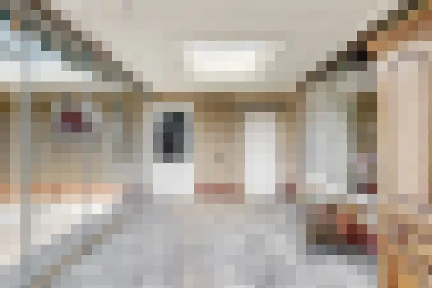Graaf Wolff Metternichlaan 32 Swalmen thumbnail 24