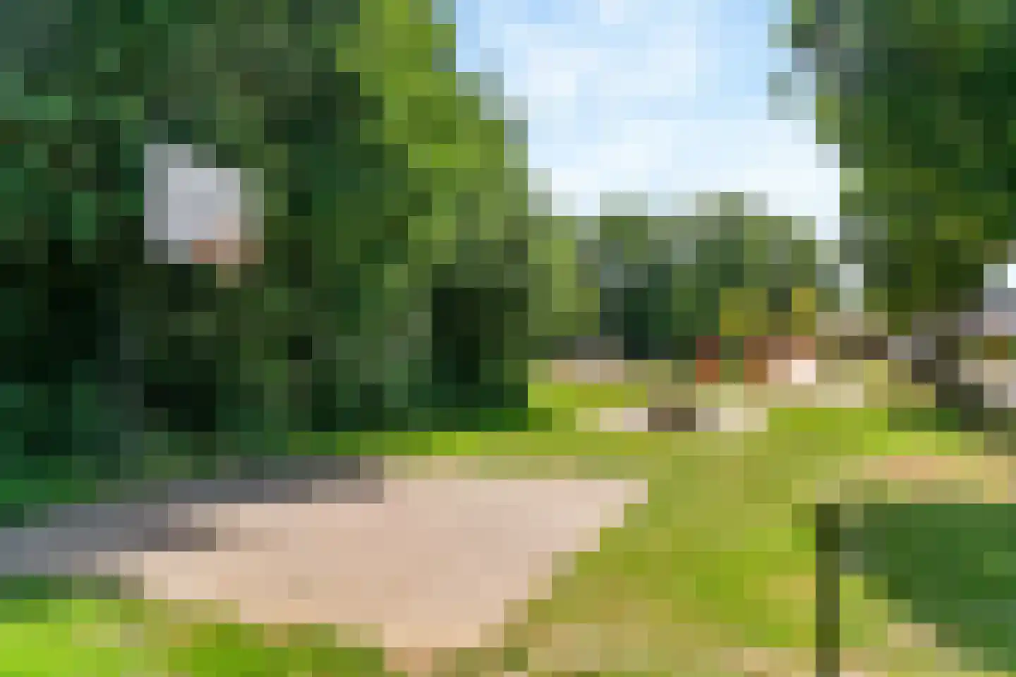Graaf Wolff Metternichlaan 32 Swalmen thumbnail 43