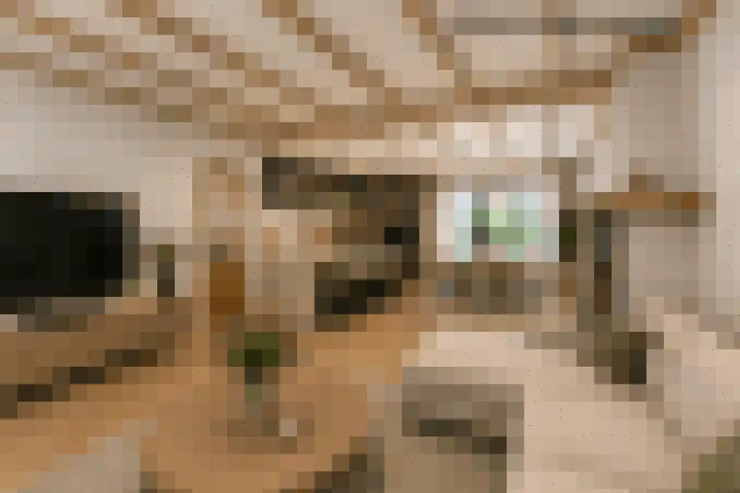 Graaf Wolff Metternichlaan 32 Swalmen thumbnail 43