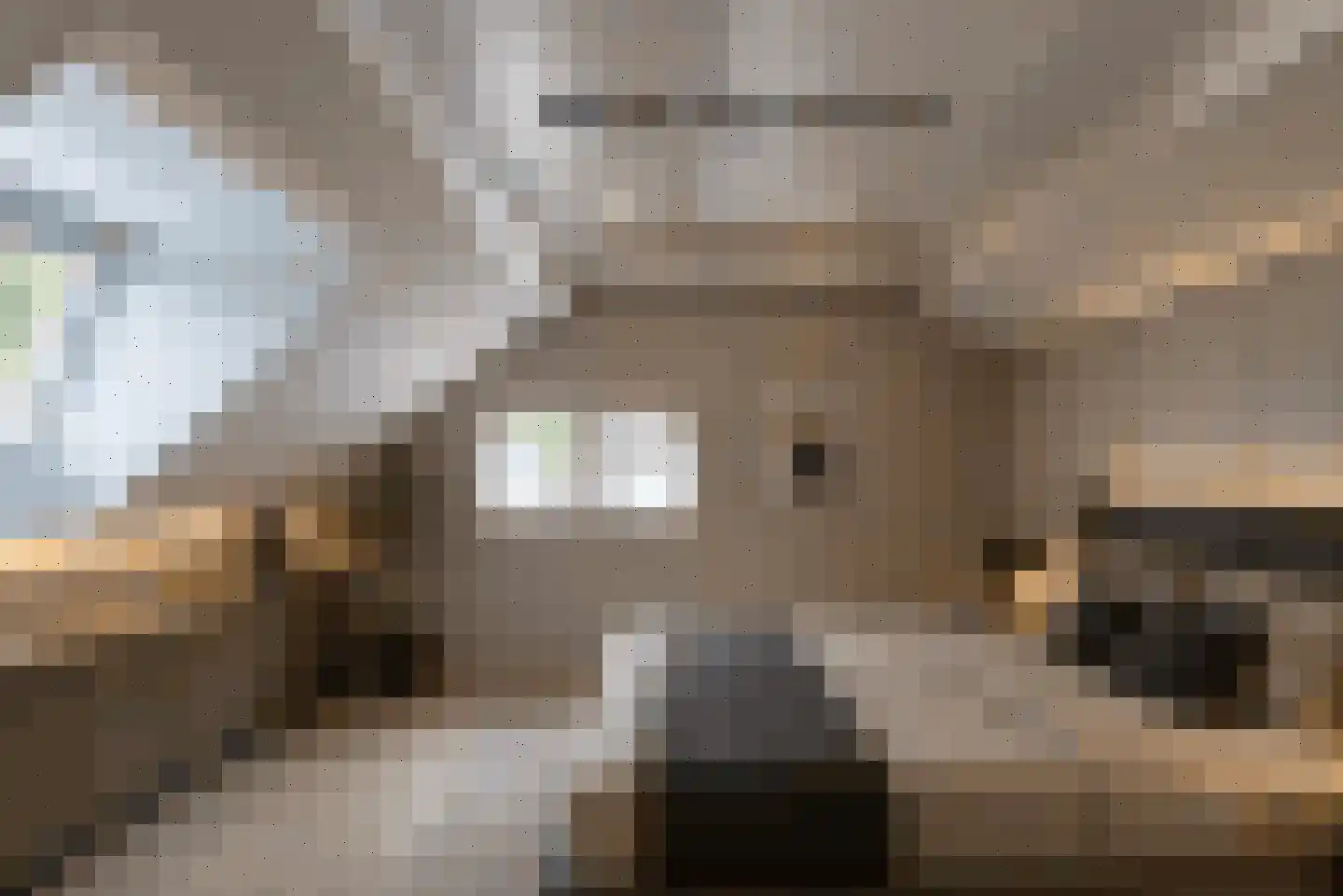 Graaf Wolff Metternichlaan 32 Swalmen thumbnail 44