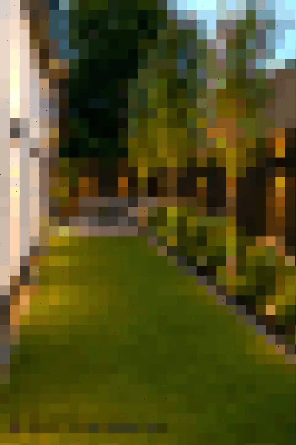 Graaf Wolff Metternichlaan 32 Swalmen thumbnail 47