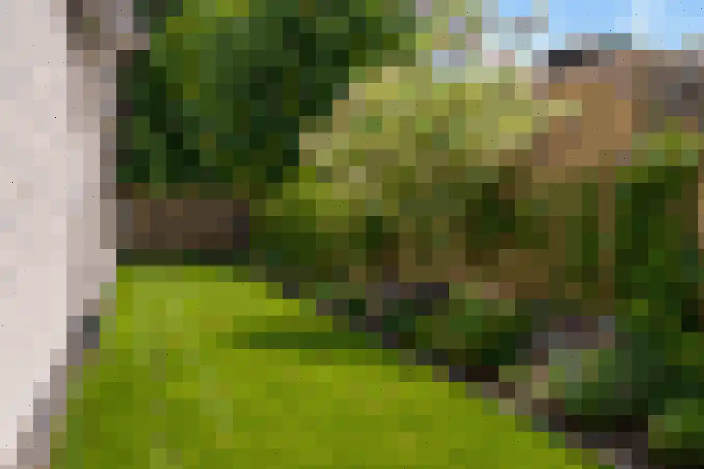 Graaf Wolff Metternichlaan 32 Swalmen thumbnail 5