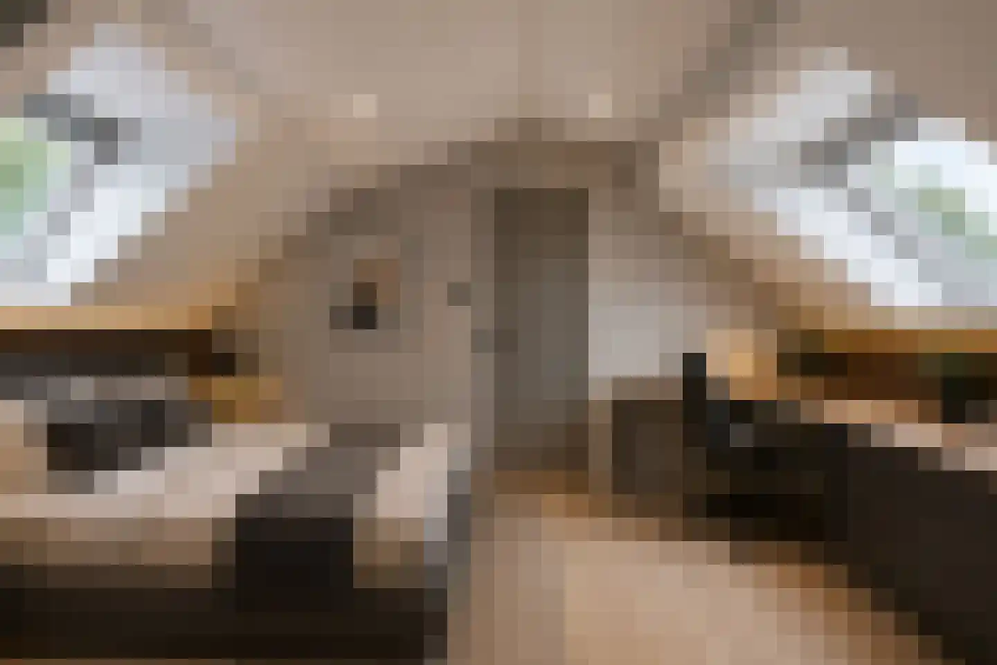 Graaf Wolff Metternichlaan 32 Swalmen thumbnail 51