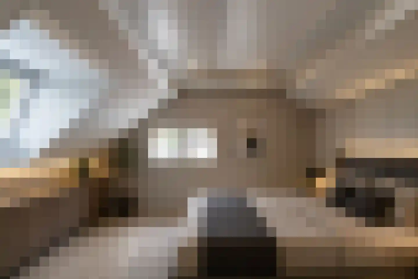 Graaf Wolff Metternichlaan 32 Swalmen thumbnail 52