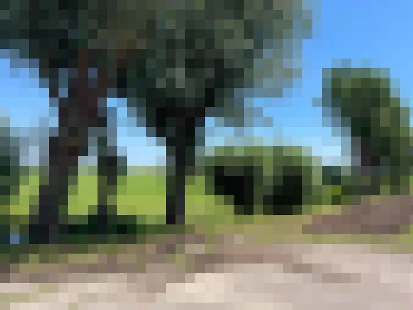 Graafdijk 48 B 1 Lopik thumbnail 4
