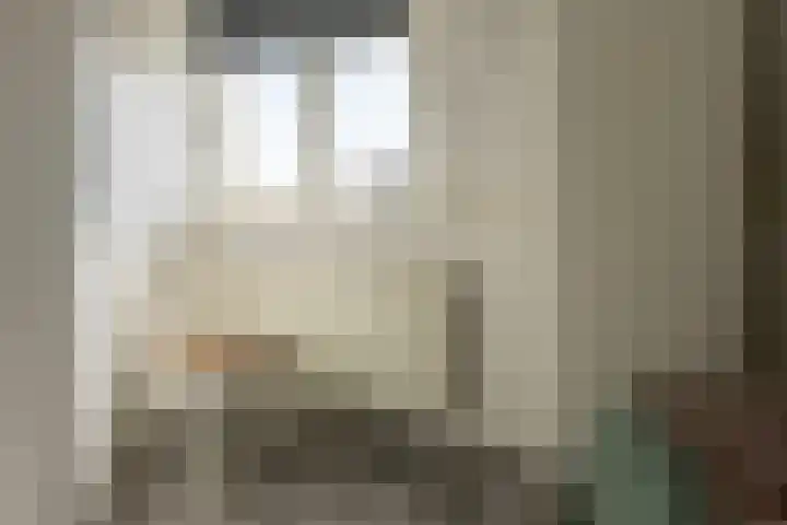 Graafdijk 49 Lopik thumbnail 33