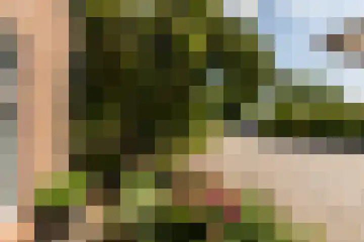 Graafdijk 49 Lopik thumbnail 37