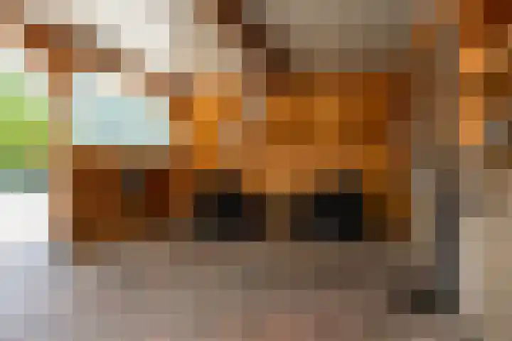 Graafdijk 49 Lopik thumbnail 39