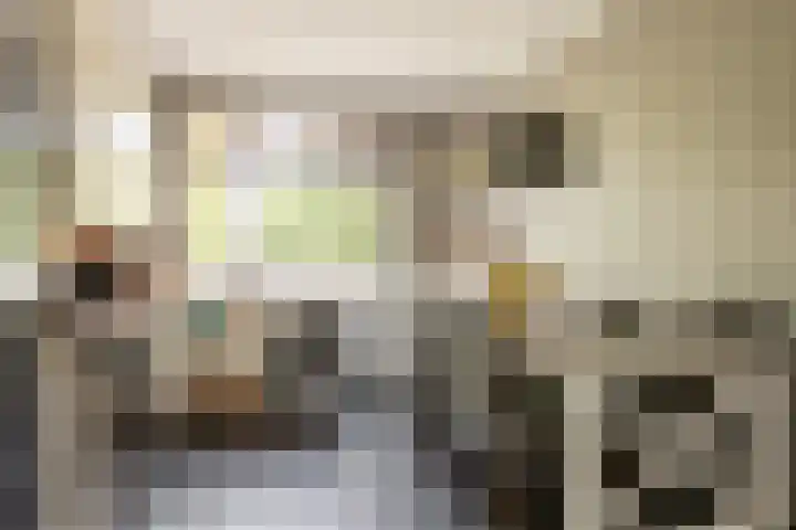 Graafdijk 49 Lopik thumbnail 4