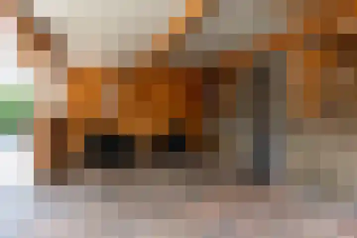 Graafdijk 49 Lopik thumbnail 40