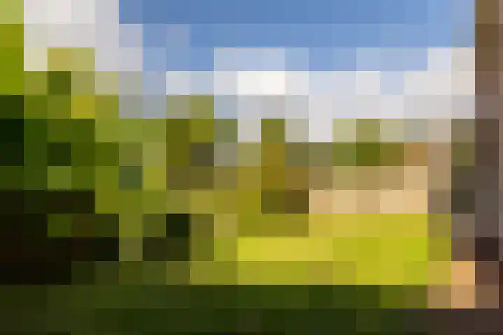 Graafdijk 49 Lopik thumbnail 42