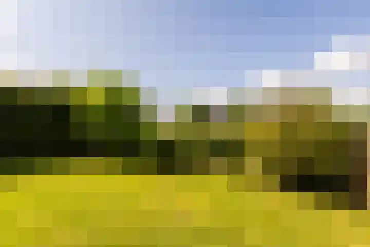 Graafdijk 49 Lopik thumbnail 43