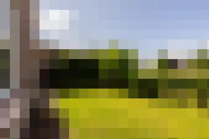 Graafdijk 49 Lopik thumbnail 44