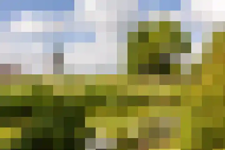 Graafdijk 49 Lopik thumbnail 45