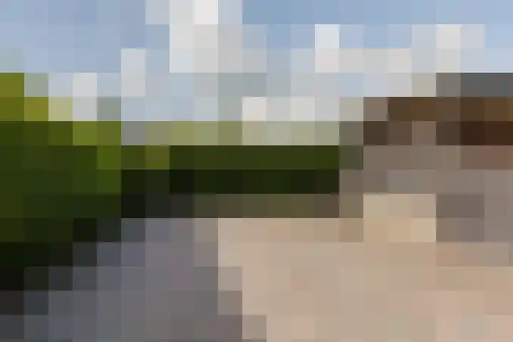 Graafdijk 49 Lopik thumbnail 48