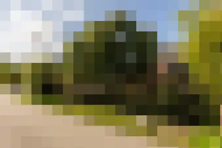 Graafdijk 49 Lopik thumbnail 52